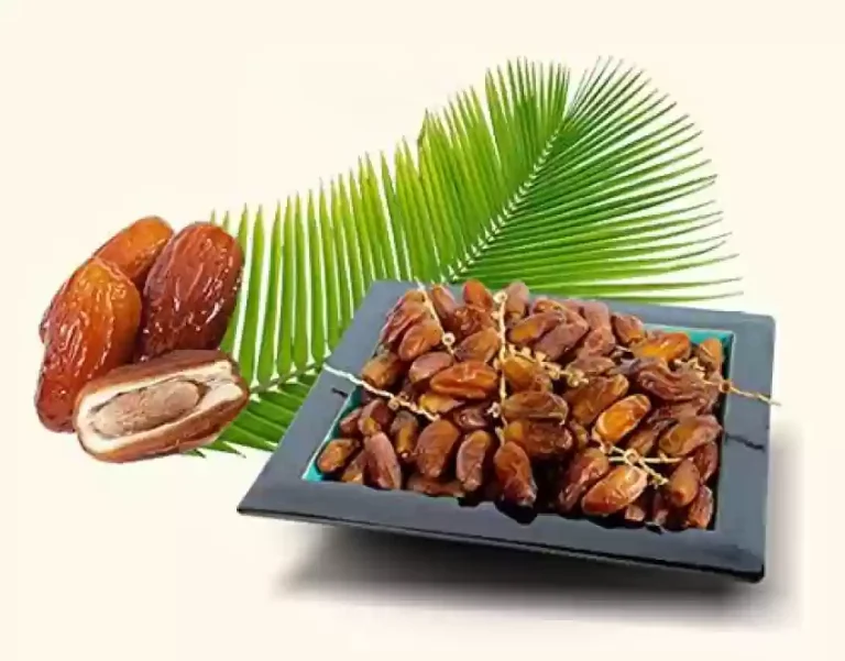 Kurma Tangkai