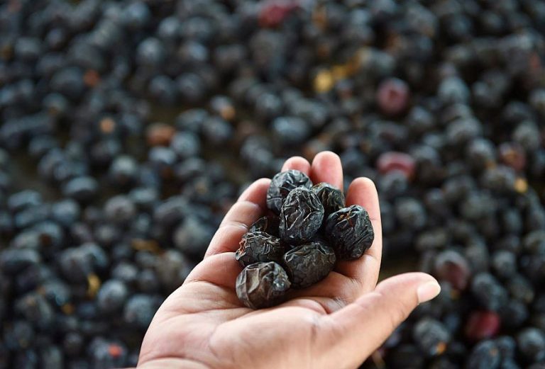 ajwa dates