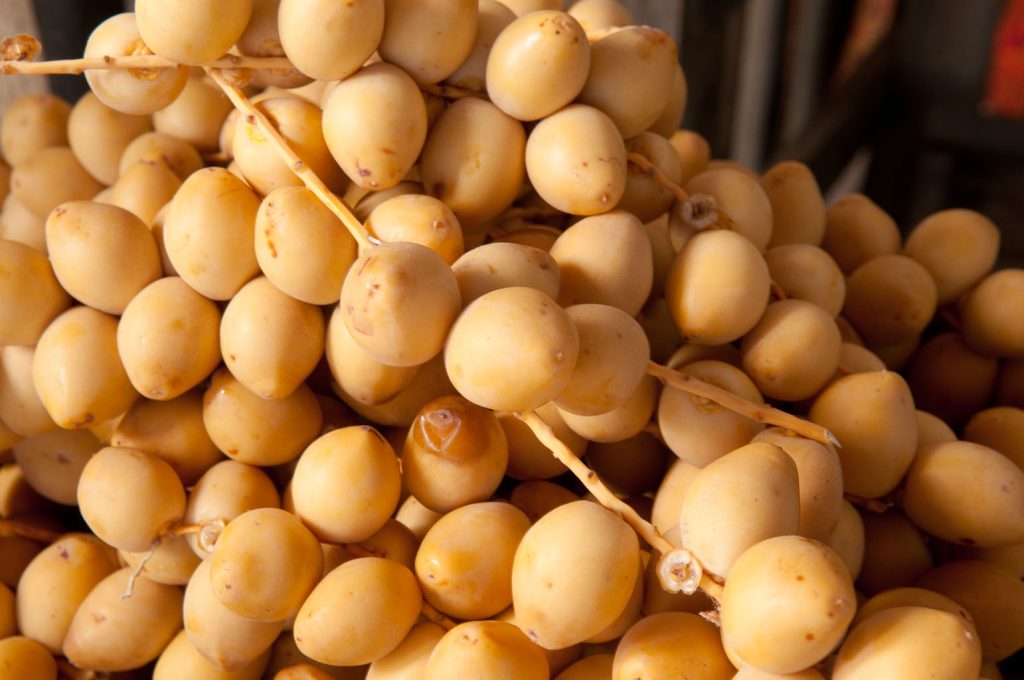 Harga Kurma Di Malaysia